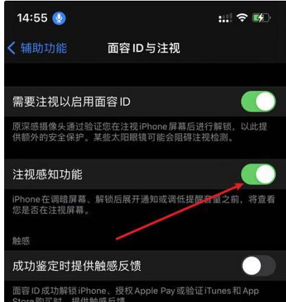 封开苹果14维修网点分享iPhone14注视感知功能有什么用 