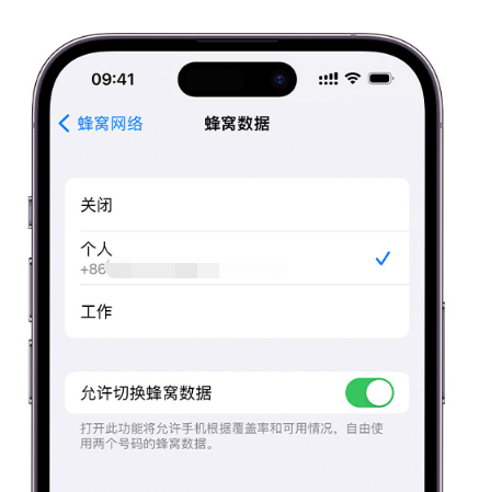 封开苹果维修服务分享如何在iPhone上使用双卡 